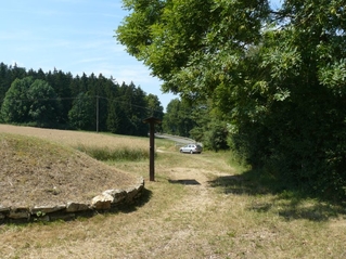Hügelgraben Landersdorf